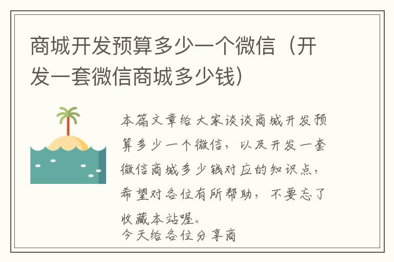 商城开发预算多少一个微信(开发一套微信商城多少钱)