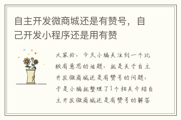 自主开发微商城还是有赞号,自己开发小程序还是用有赞