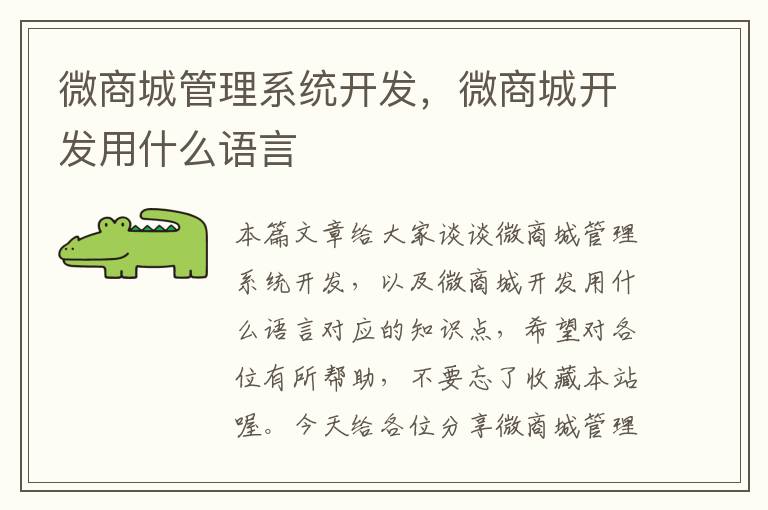 微商城管理系统开发,微商城开发用什么语言