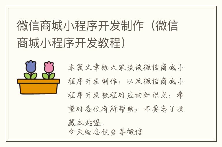 微信商城小程序开发制作(微信商城小程序开发教程)