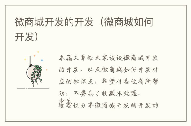 微商城开发的开发(微商城如何开发)