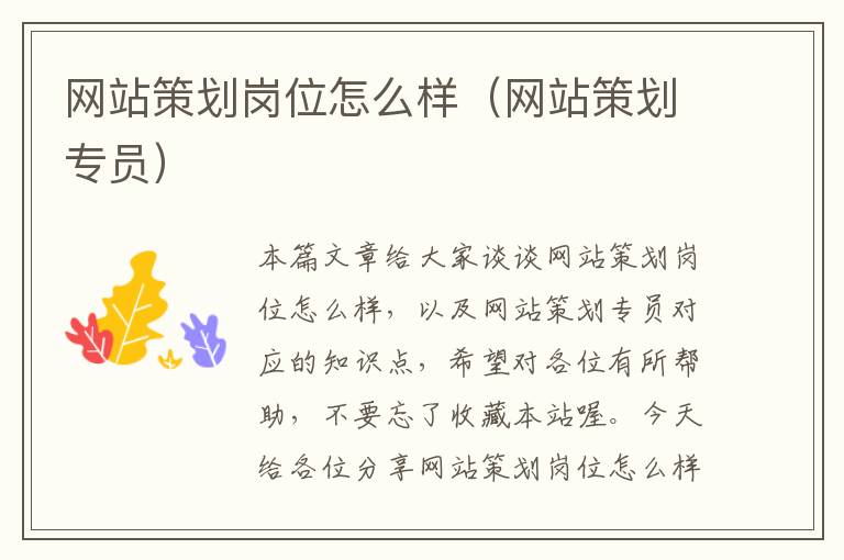 网站策划岗位怎么样(网站策划专员)
