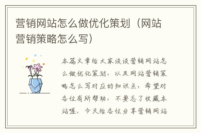 营销网站怎么做优化策划(网站营销策略怎么写)