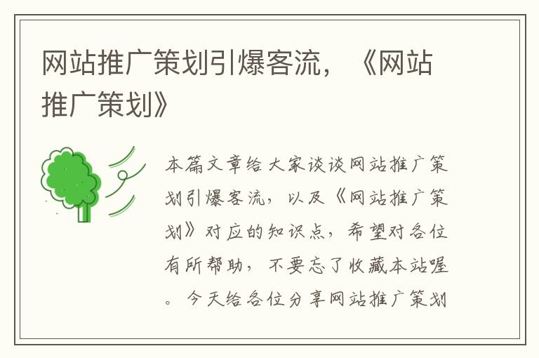 网站推广策划引爆客流,《网站推广策划》