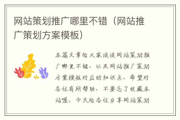 网站策划推广哪里不错(网站推广策划方案模板)