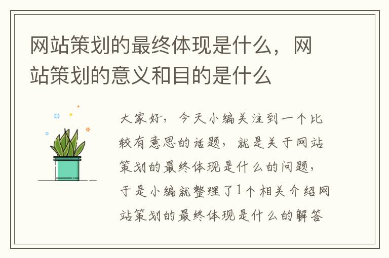 网站策划的最终体现是什么,网站策划的意义和目的是什么