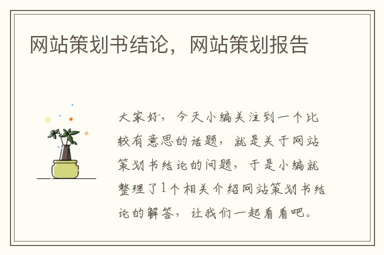 网站策划书结论,网站策划报告