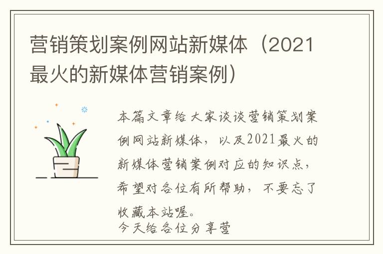 营销策划案例网站新媒体(2021最火的新媒体营销案例)