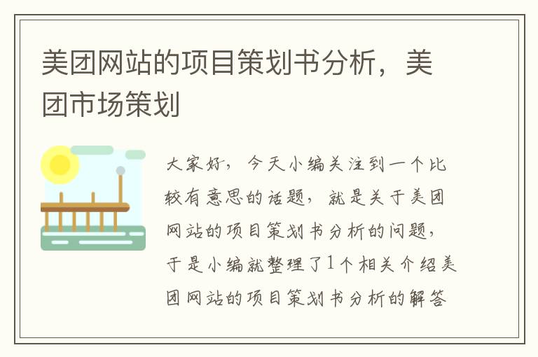 美团网站的项目策划书分析,美团市场策划