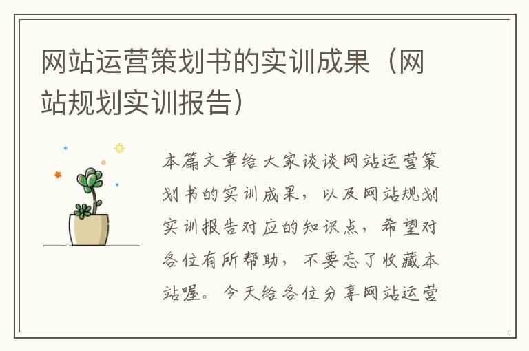 网站运营策划书的实训成果(网站规划实训报告)