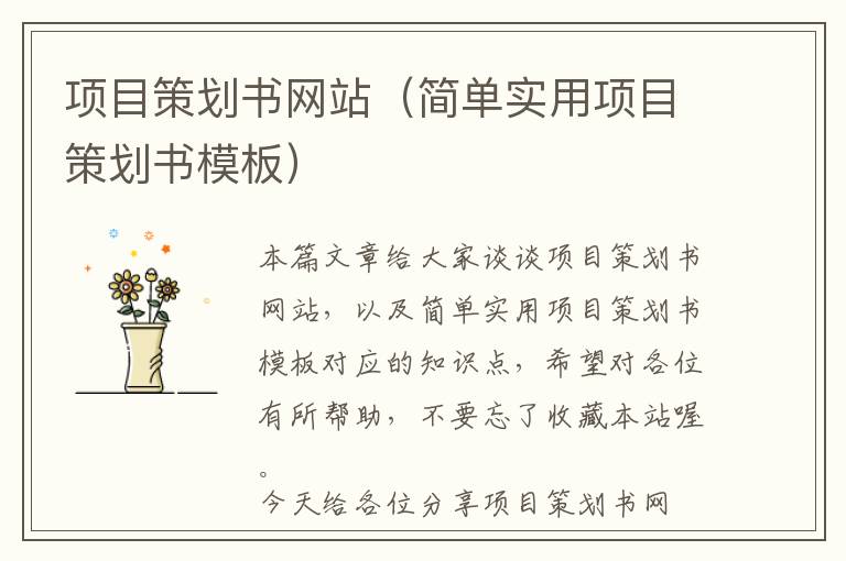 项目策划书网站(简单实用项目策划书模板)
