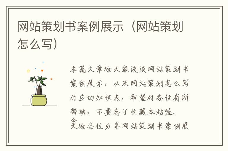 网站策划书案例展示(网站策划怎么写)