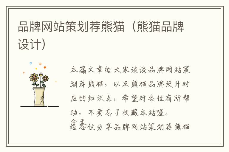 品牌网站策划荐熊猫(熊猫品牌设计)