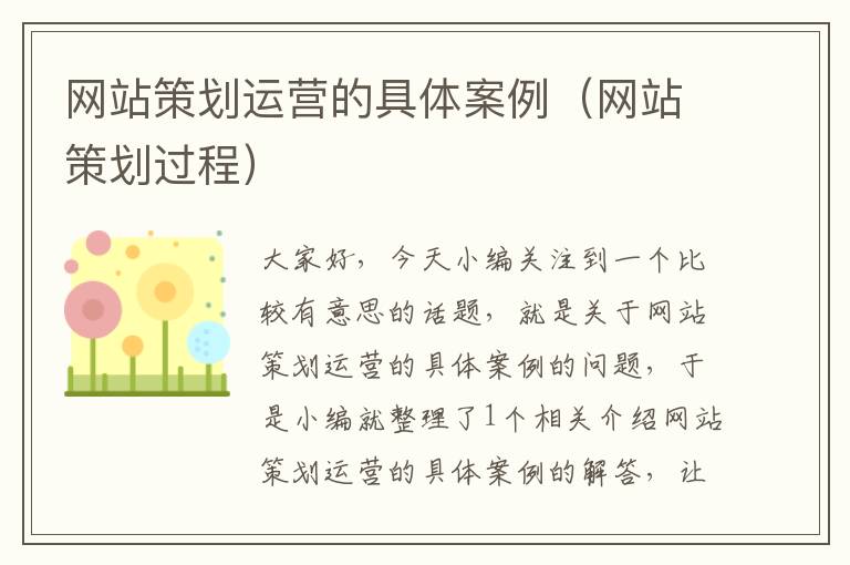 网站策划运营的具体案例(网站策划过程)