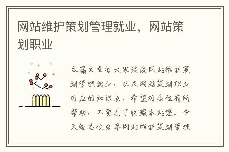网站维护策划管理就业,网站策划职业