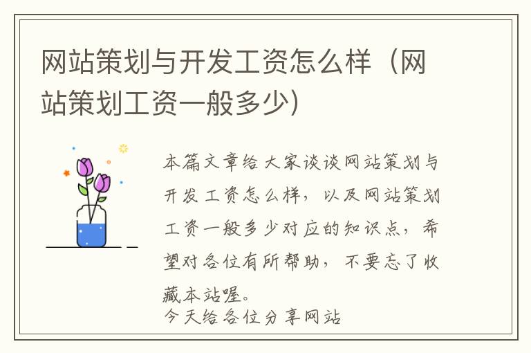 网站策划与开发工资怎么样(网站策划工资一般多少)