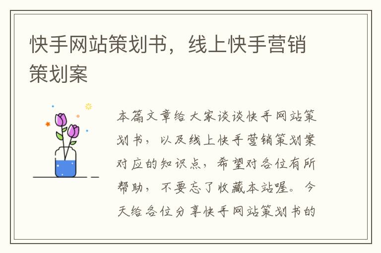 快手网站策划书,线上快手营销策划案