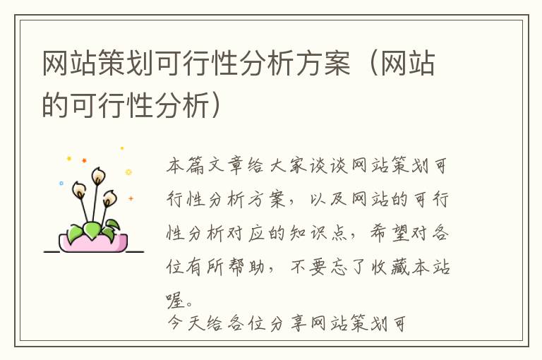网站策划可行性分析方案(网站的可行性分析)