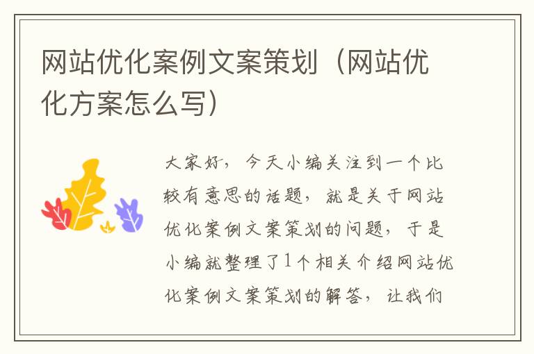 网站优化案例文案策划(网站优化方案怎么写)