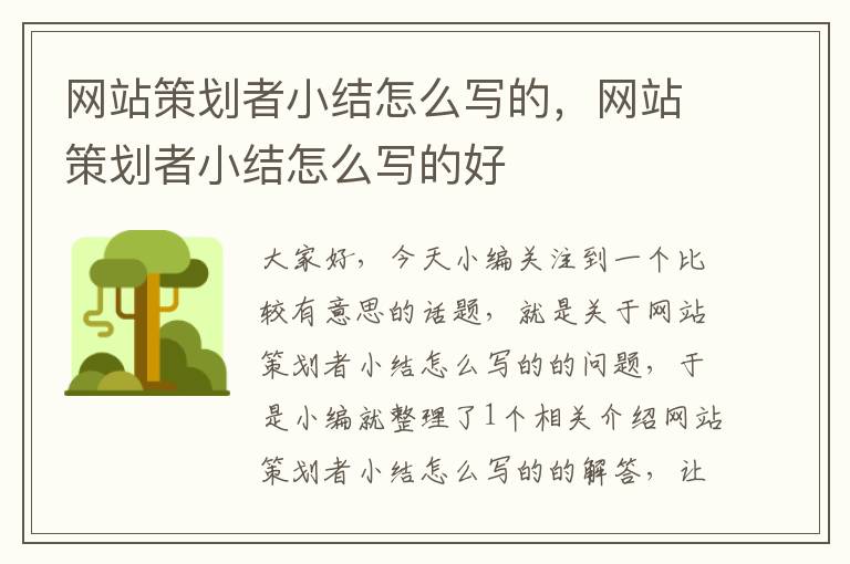 网站策划者小结怎么写的,网站策划者小结怎么写的好