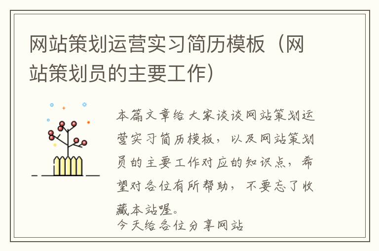 网站策划运营实习简历模板(网站策划员的主要工作)