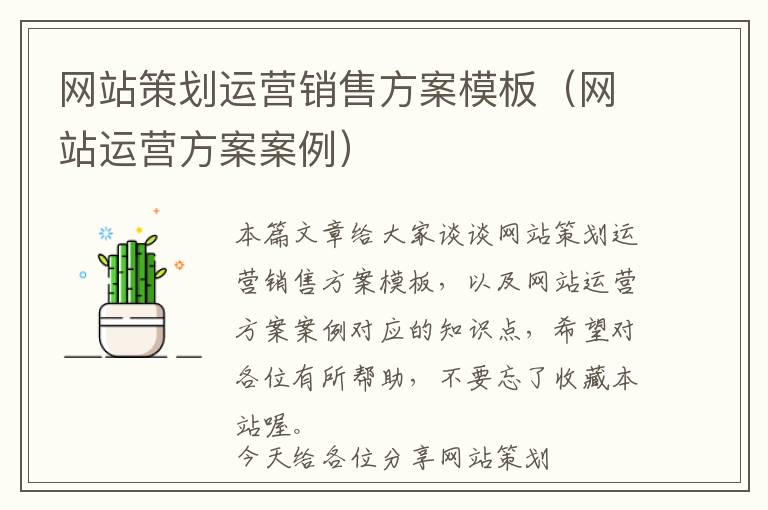 网站策划运营销售方案模板(网站运营方案案例)