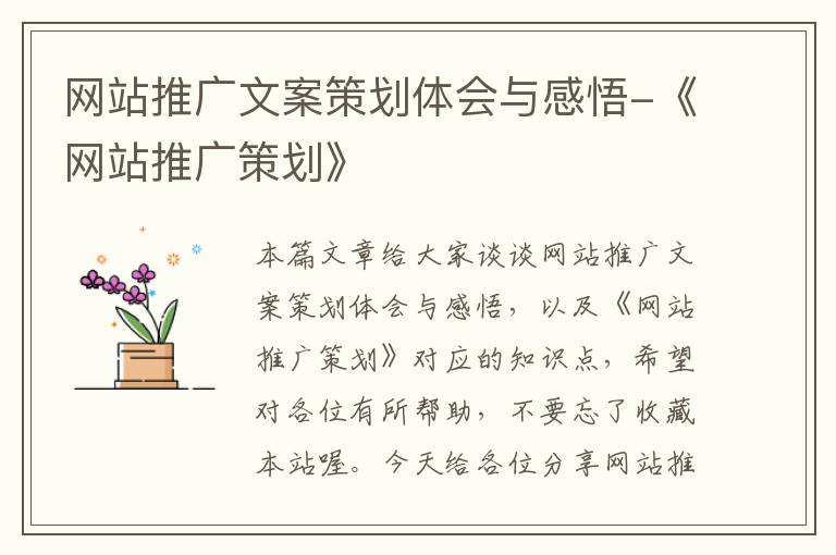 网站推广文案策划体会与感悟-《网站推广策划》