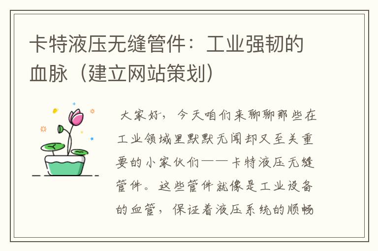 卡特液压无缝管件:工业强韧的血脉(建立网站策划)