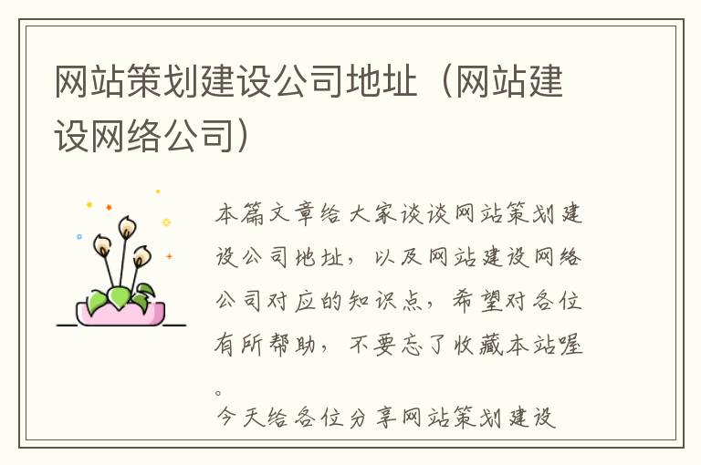 网站策划建设公司地址(网站建设网络公司)