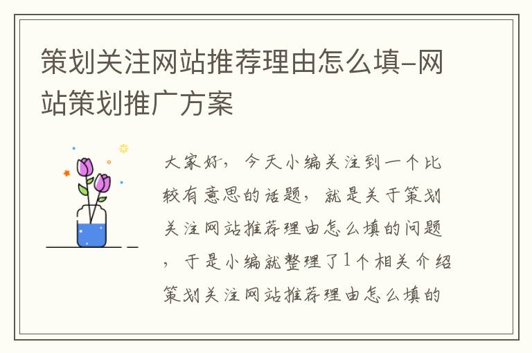 策划关注网站推荐理由怎么填-网站策划推广方案