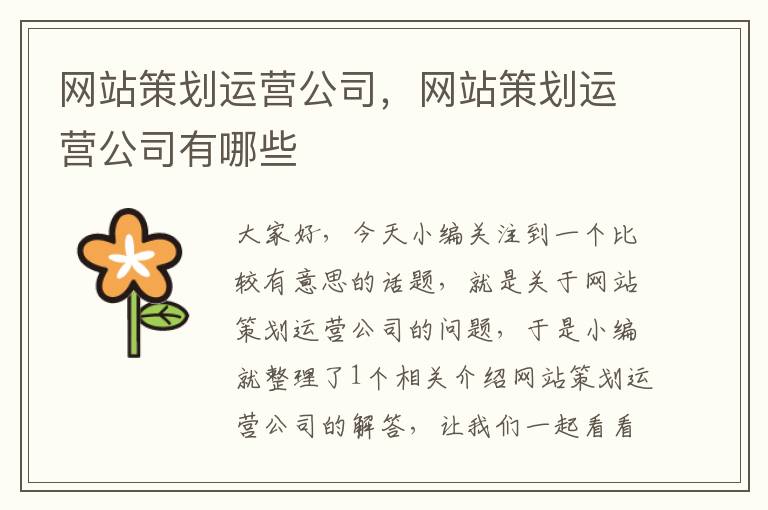 网站策划运营公司,网站策划运营公司有哪些