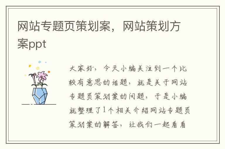网站专题页策划案,网站策划方案ppt