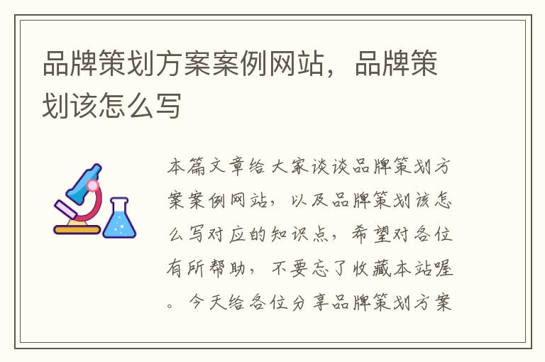品牌策划方案案例网站,品牌策划该怎么写