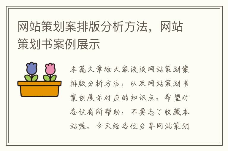网站策划案排版分析方法,网站策划书案例展示