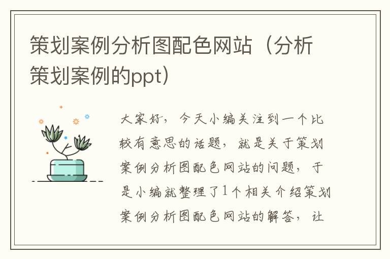 策划案例分析图配色网站(分析策划案例的ppt)