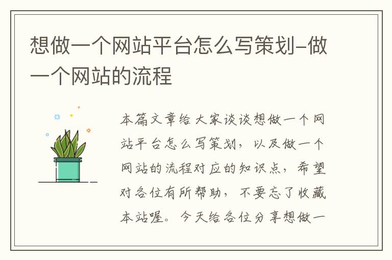 想做一个网站平台怎么写策划-做一个网站的流程