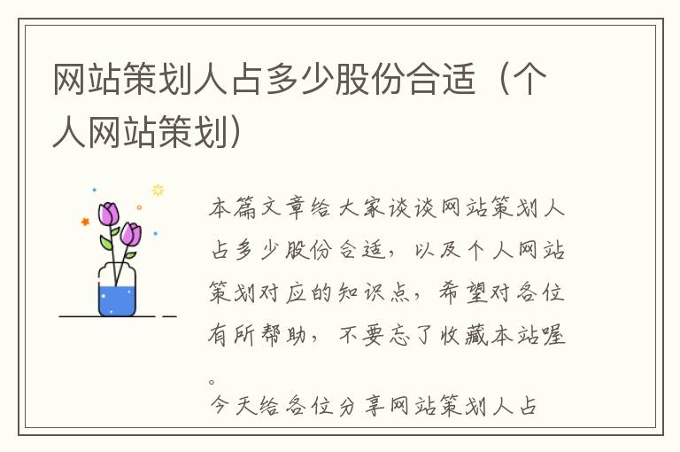 网站策划人占多少股份合适(个人网站策划)