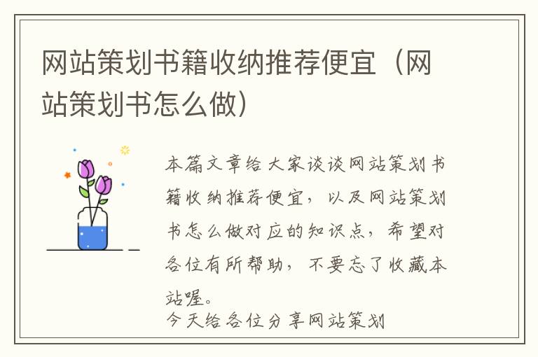 网站策划书籍收纳推荐便宜(网站策划书怎么做)