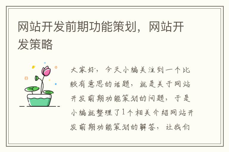 网站开发前期功能策划,网站开发策略