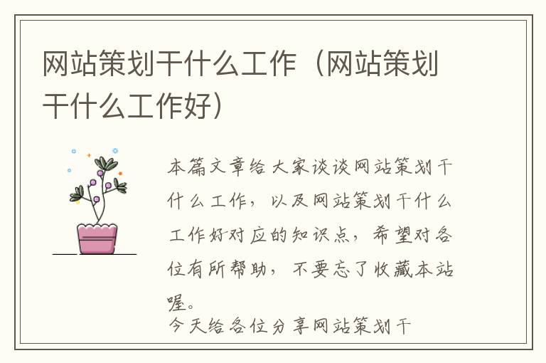 网站策划干什么工作(网站策划干什么工作好)