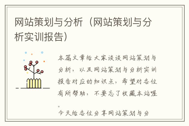 网站策划与分析(网站策划与分析实训报告)