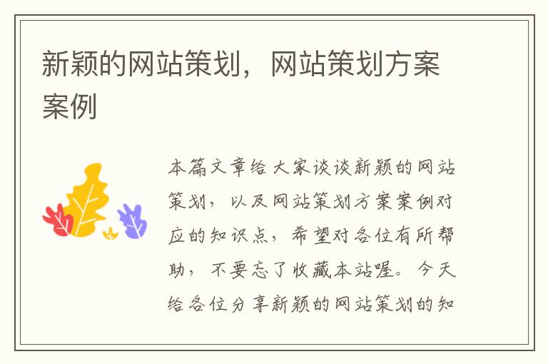 新颖的网站策划,网站策划方案案例