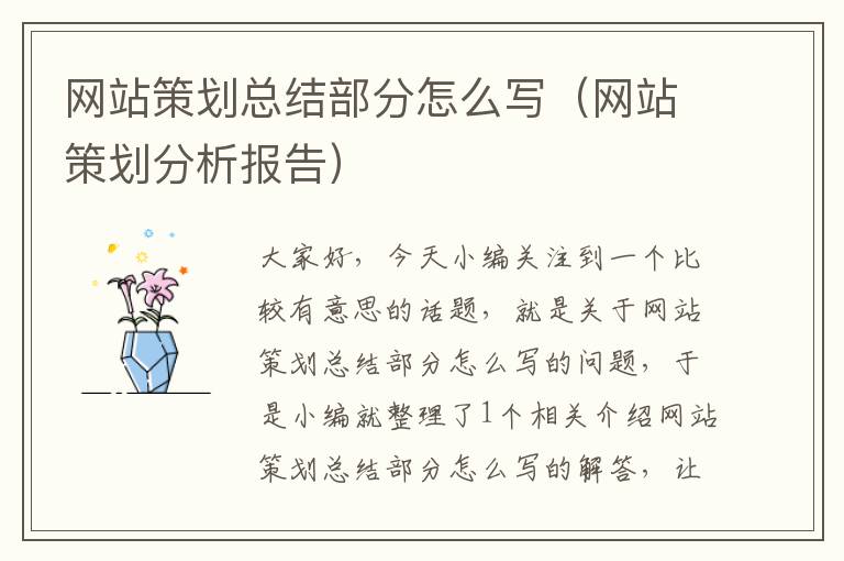 网站策划总结部分怎么写(网站策划分析报告)