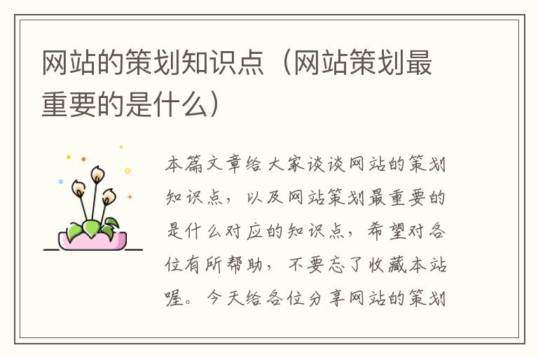 网站的策划知识点(网站策划最重要的是什么)