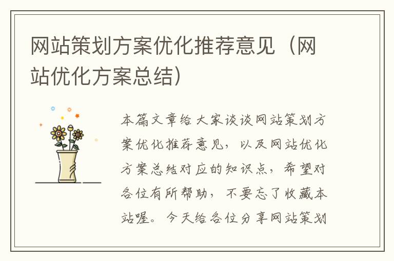 网站策划方案优化推荐意见(网站优化方案总结)