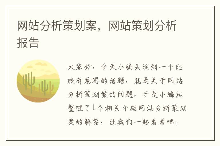 网站分析策划案,网站策划分析报告