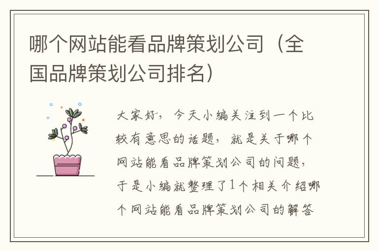 哪个网站能看品牌策划公司(全国品牌策划公司排名)