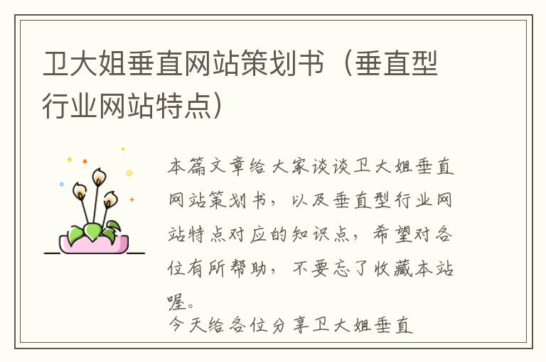 卫大姐垂直网站策划书(垂直型行业网站特点)