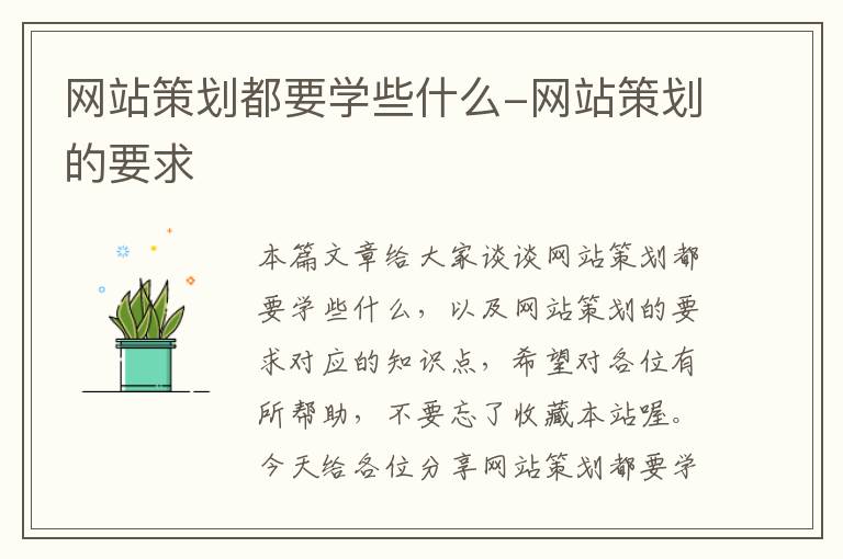 网站策划都要学些什么-网站策划的要求
