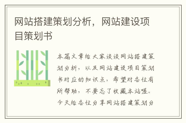 网站搭建策划分析,网站建设项目策划书